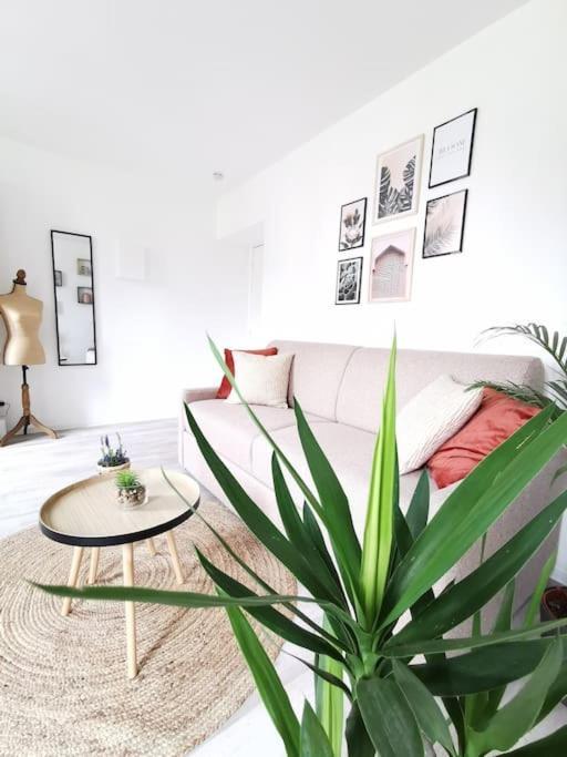 L'Authentique *Studio *Parking Prive* *Wifi*Calme Lourdes Luaran gambar